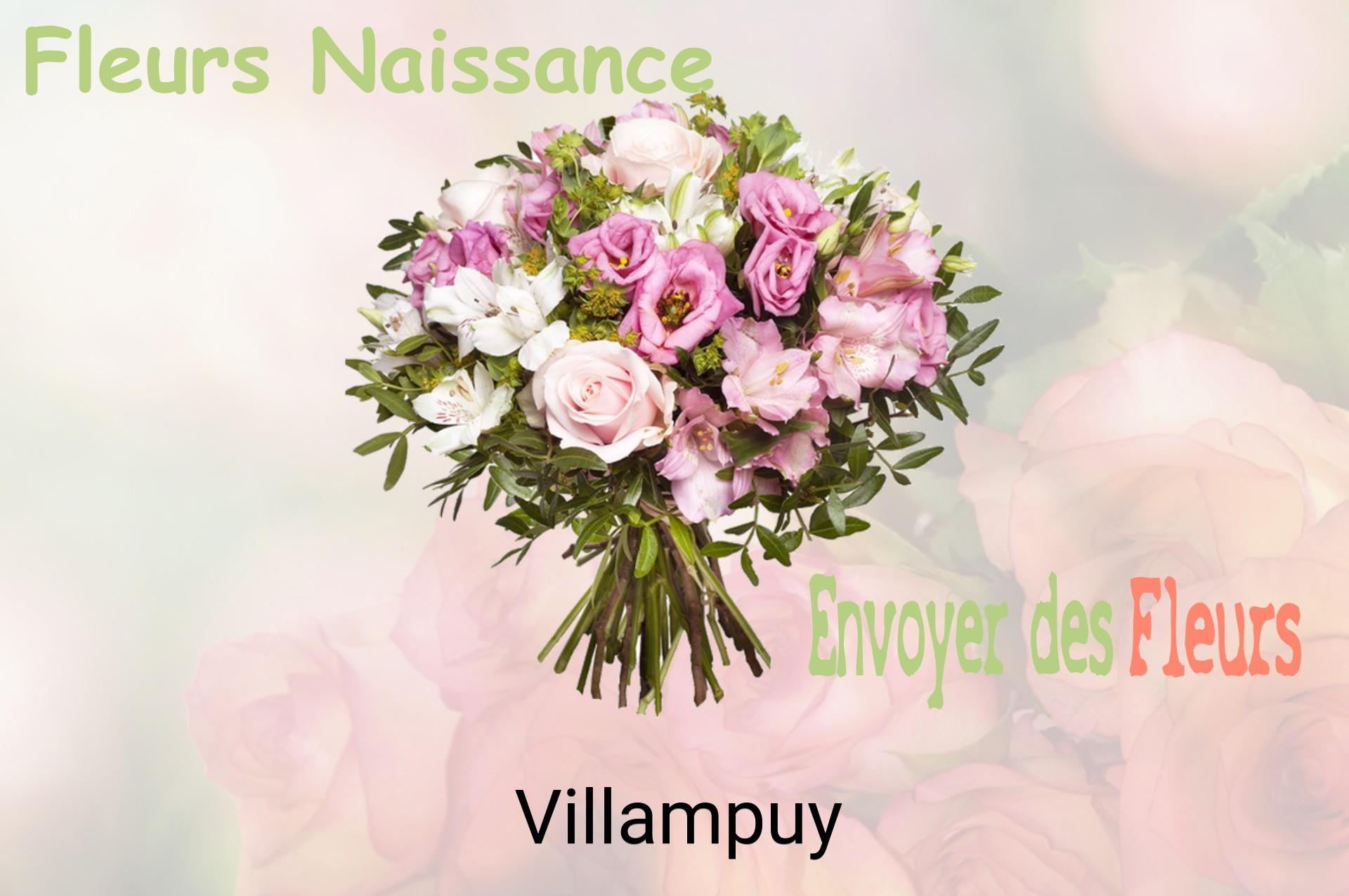Bouquet de fleurs de naissance livré à Villampuy